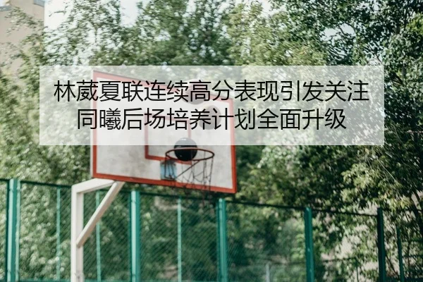 林葳夏联连续高分表现引发关注 同曦后场培养计划全面升级